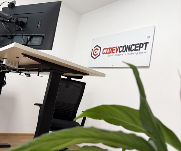 Firma web design Brasov 10